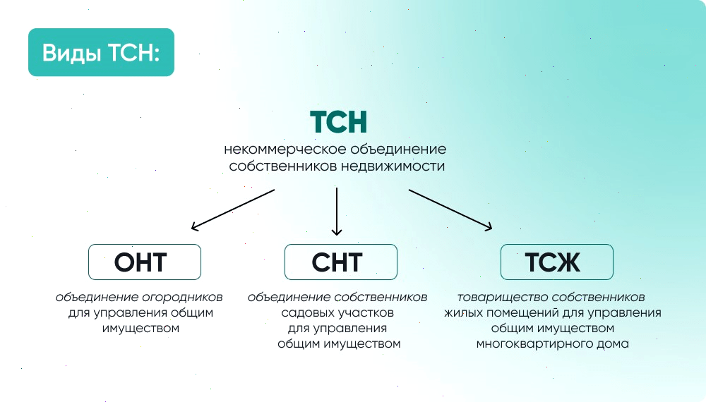 ТСЖ как разновидность ТСН